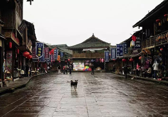 御龙在天