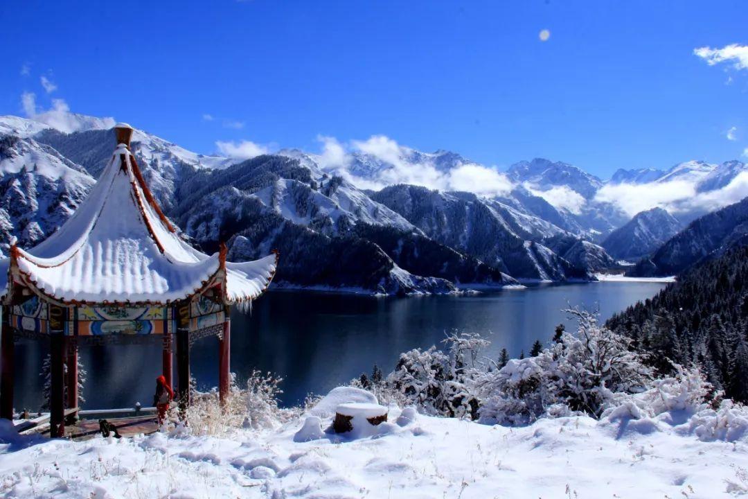 精灵格蕾